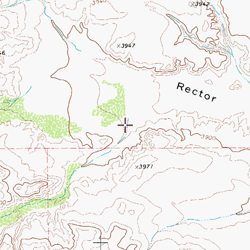 Topographic Map of South Rector Canyon, TX