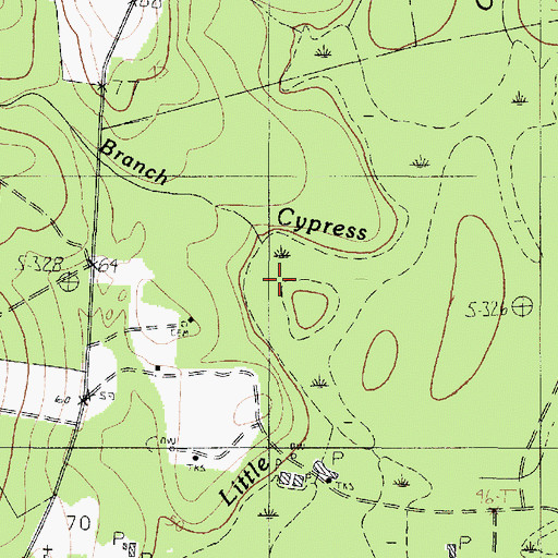 Topographic Map of Spring Branch, TX