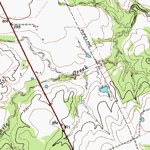 Topographic Map of Spring Branch, TX