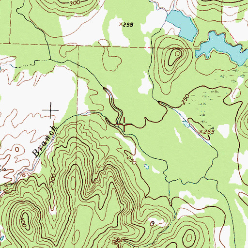 Topographic Map of Spring Branch, TX