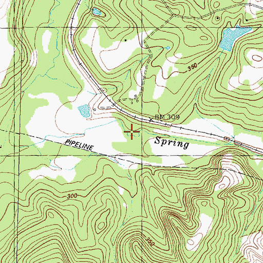 Topographic Map of Spring Branch, TX