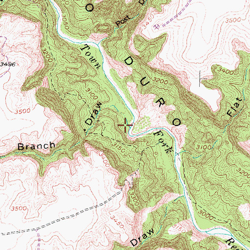Topographic Map of Spring Branch, TX