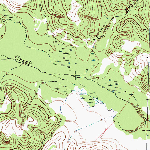 Topographic Map of Spring Branch, TX