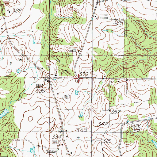 Topographic Map of Spring Hill Church, TX