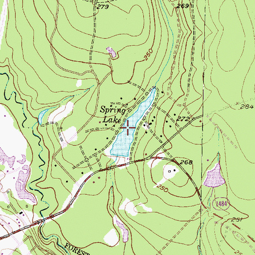 Topographic Map of Spring Lake, TX