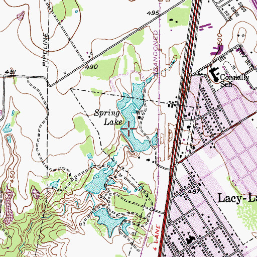 Topographic Map of Spring Lake, TX