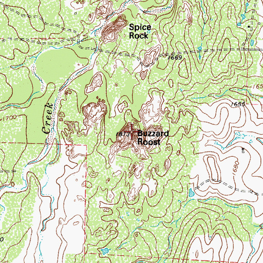 Topographic Map of Spy Rock, TX