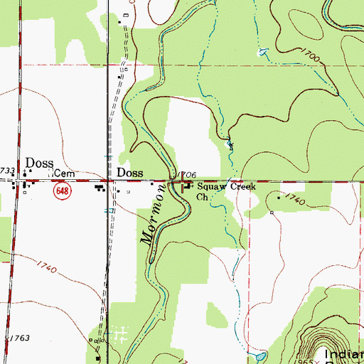 Topographic Map of Squaw Creek Church, TX