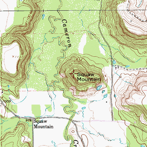 Topographic Map of Squaw Mountain, TX