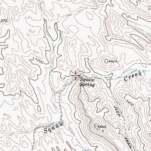 Topographic Map of Squaw Spring, TX