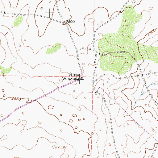 Topographic Map of Steve Windmill, TX
