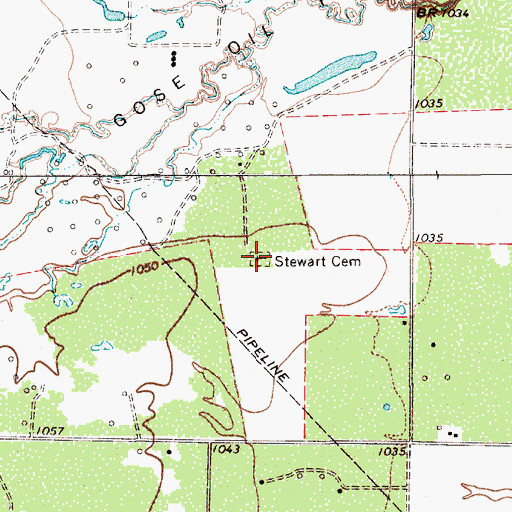 Topographic Map of Stewart Cemetery, TX