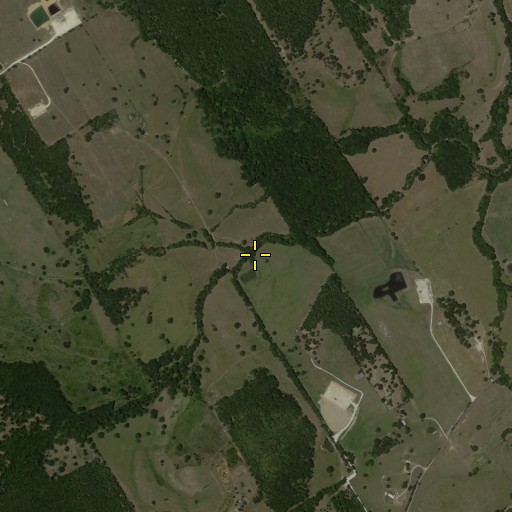 Aerial/Satellite Image of Storm Branch, TX