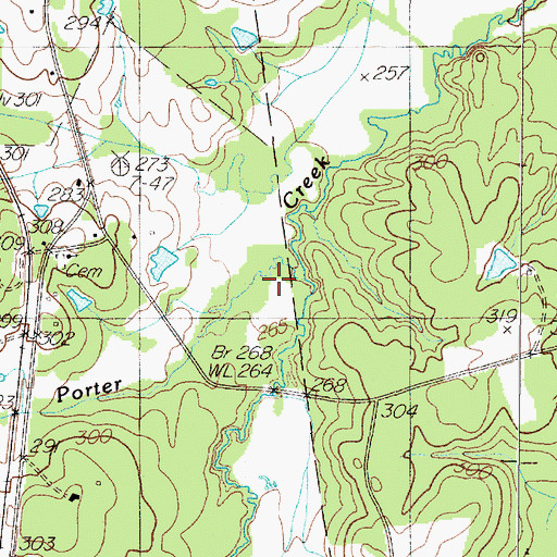 Topographic Map of Straw Creek, TX