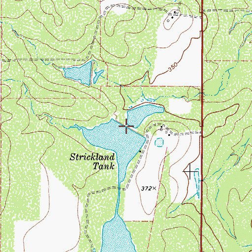 Topographic Map of Strickland Tank, TX