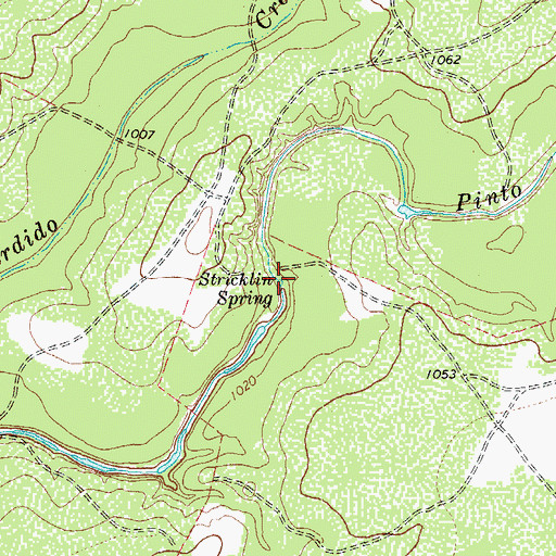 Topographic Map of Stricklin Spring, TX
