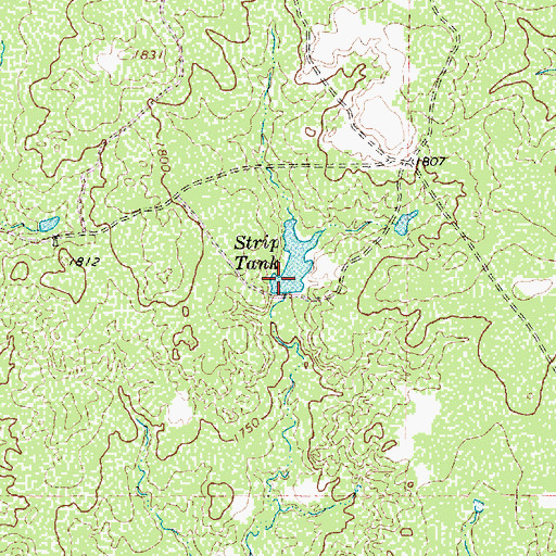 Topographic Map of Strip Tank, TX