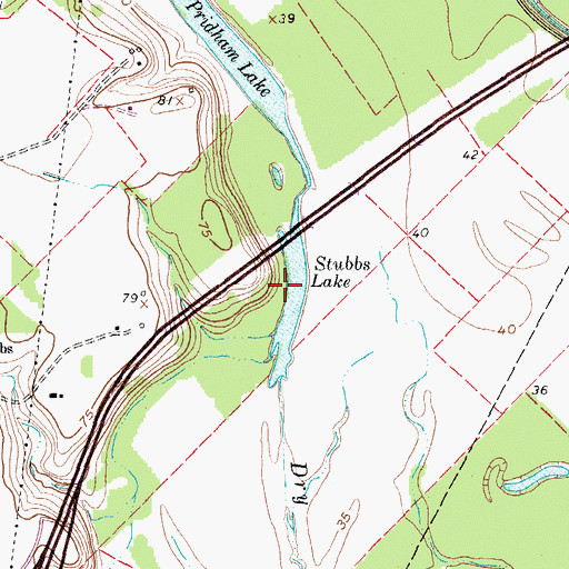 Topographic Map of Stubbs Lake, TX