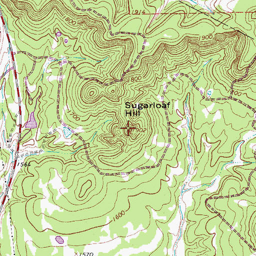 Topographic Map of Sugarloaf Hill, TX