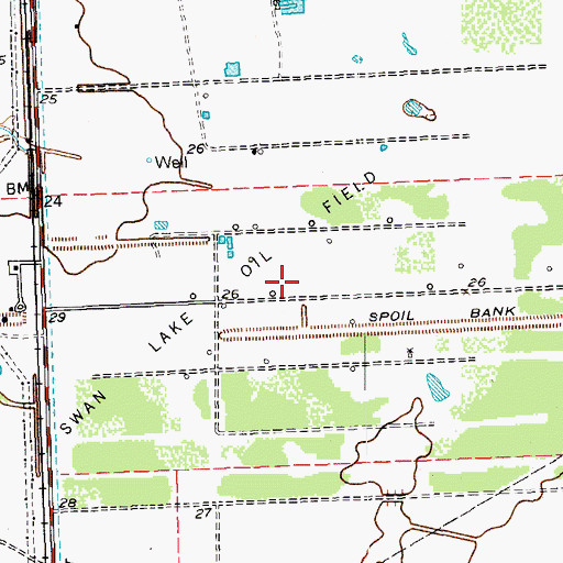 Topographic Map of Swam Lake Oil Field, TX