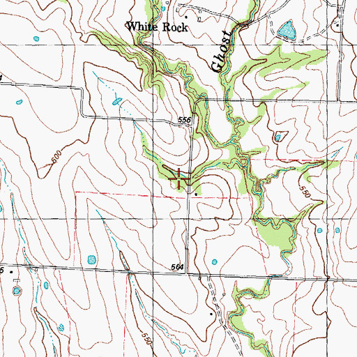 Topographic Map of Swan Chapel, TX