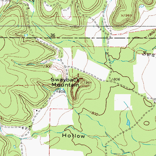 Topographic Map of Swayback Mountain, TX