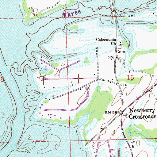 Topographic Map of Newberry Cove, AL
