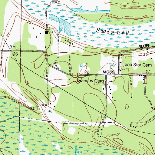Topographic Map of Swinney Cemetery, TX
