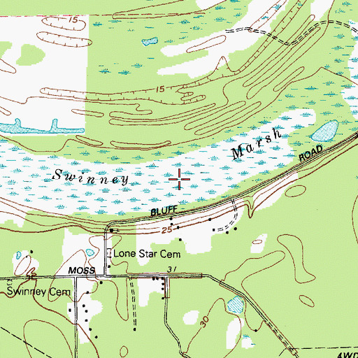 Topographic Map of Swinney Marsh, TX