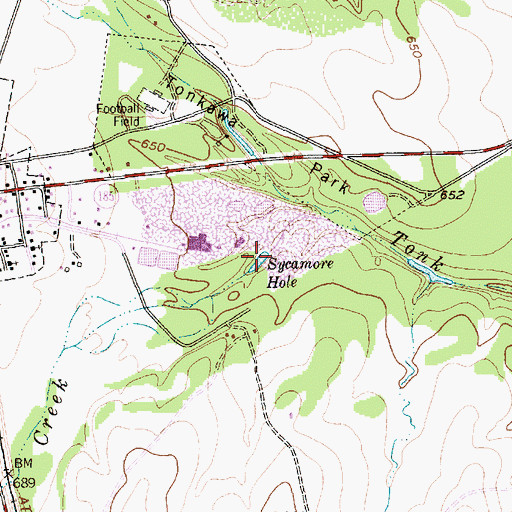 Topographic Map of Sycamore Hole, TX