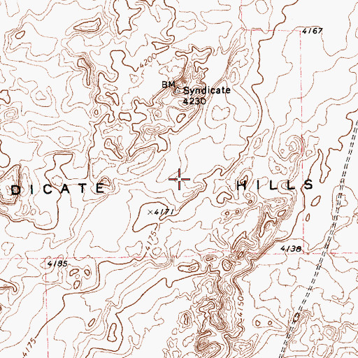 Topographic Map of Syndicate Hills, TX