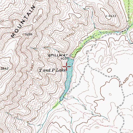 Topographic Map of T and P Lake, TX