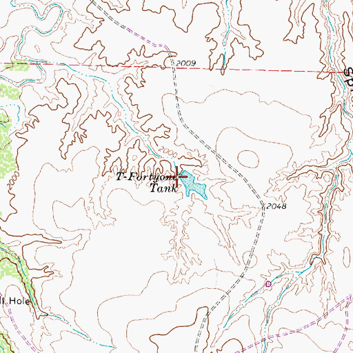 Topographic Map of T-Fortyone Tank, TX