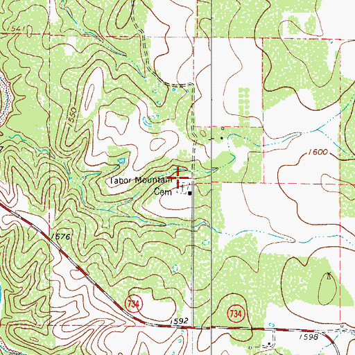 Topographic Map of Tabor Mountain Cemetery, TX
