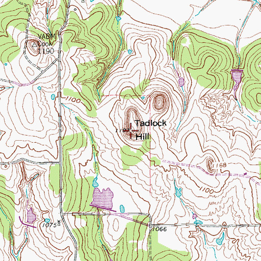 Topographic Map of Tadlock Hill, TX