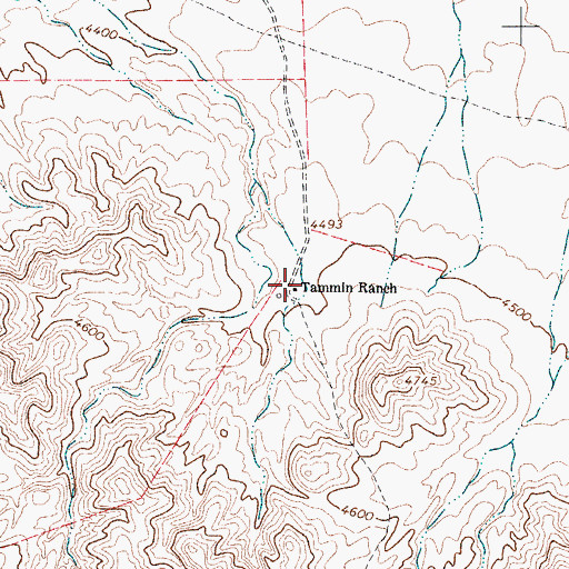 Topographic Map of Tammin Ranch, TX