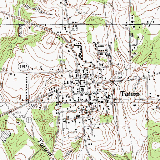 Topographic Map of Tatum, TX