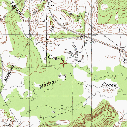 Topographic Map of Tatum Creek, TX