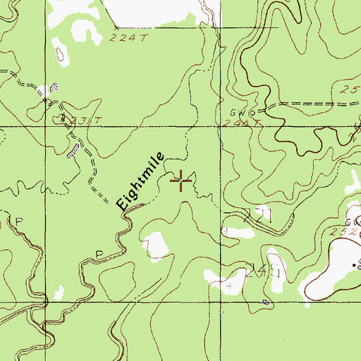 Topographic Map of Taylor Branch, TX