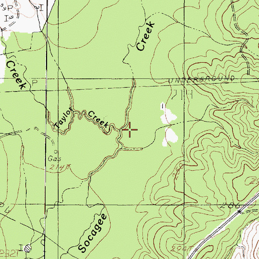 Topographic Map of Taylor Creek, TX