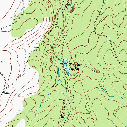 Topographic Map of Taylor Lake, TX