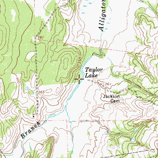 Topographic Map of Taylor Lake, TX