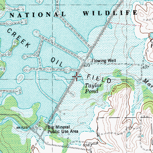 Topographic Map of Taylor Pond, TX