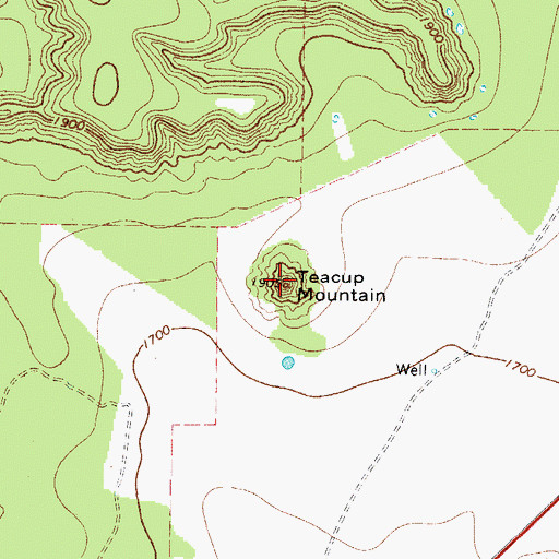 Topographic Map of Teacup Mountain, TX
