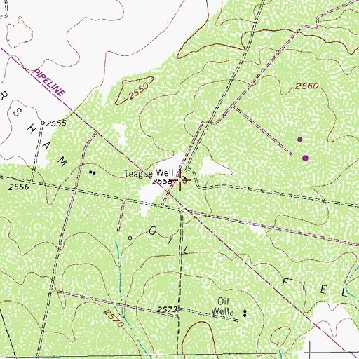 Topographic Map of Teague Well, TX