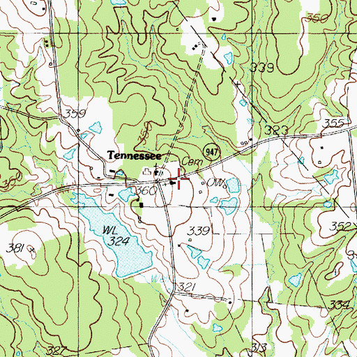 Topographic Map of Tennessee Cemetery, TX