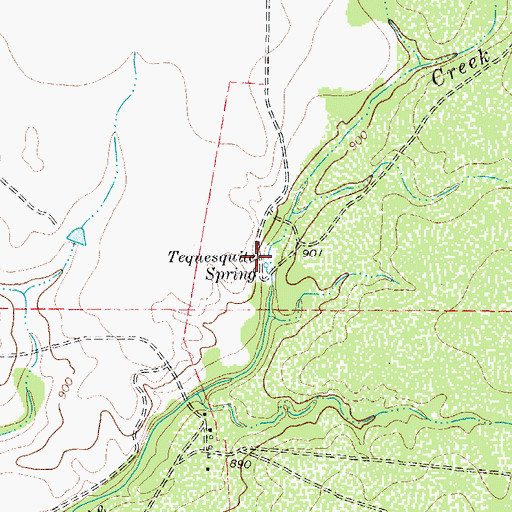 Topographic Map of Tequesquite Spring, TX