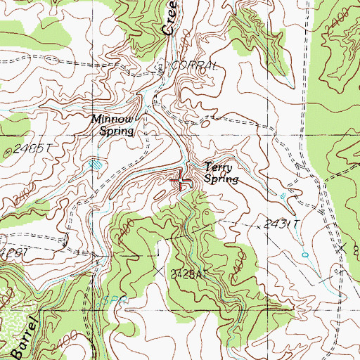 Topographic Map of Terry Spring, TX