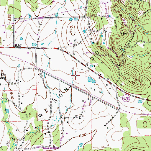 Topographic Map of The Wilson Pool, TX