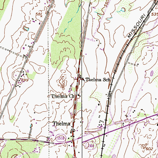 Topographic Map of Thelma School, TX